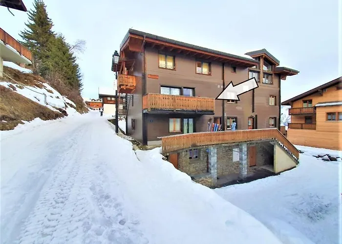 Ski-in, And Cosy In The Diana, Free Access To Swimming Pool Bettmeralp
