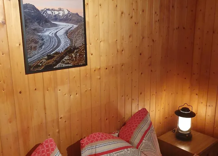 Ski-in, And Cosy In The Diana, Free Access To Swimming Pool Bettmeralp