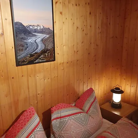 Ski-in, And Cosy In The Diana, Free Access To Swimming Pool Bettmeralp